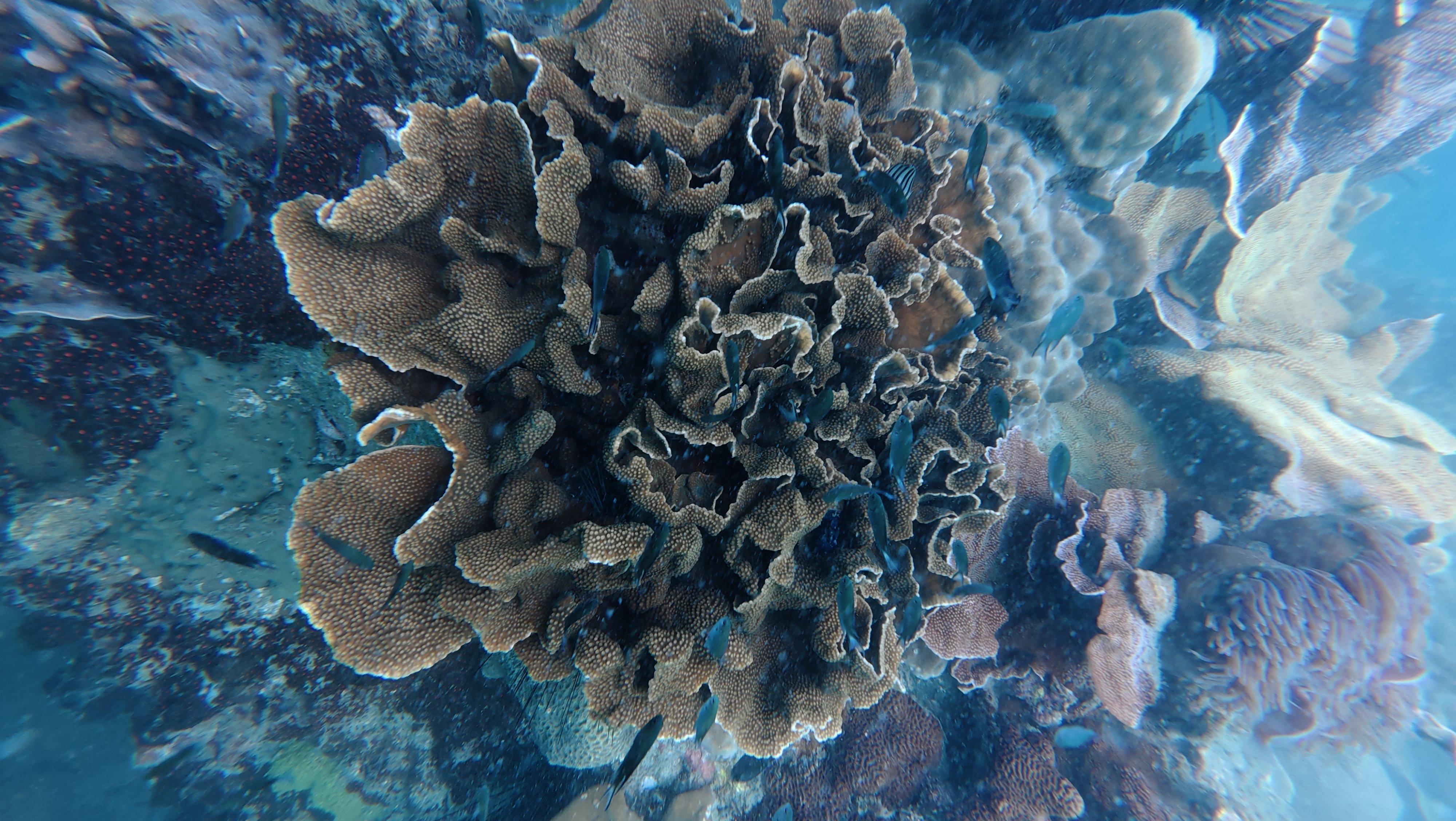 Adventure Deep at Silver Island