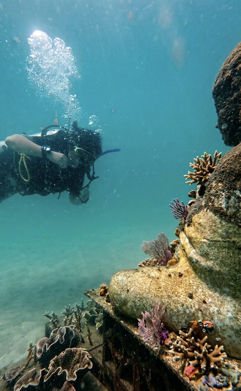 My Hòn Kim Quy dive